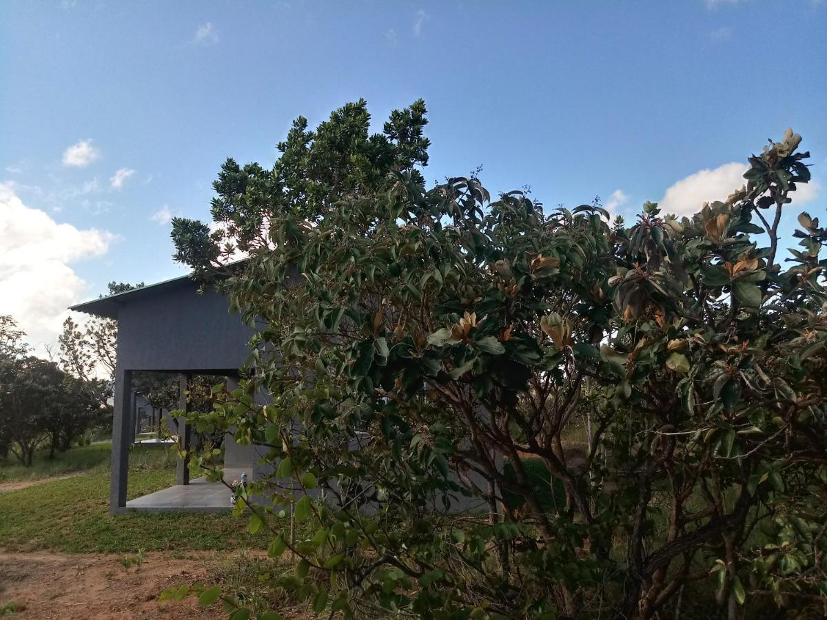 Chales Recanto Da Baleia Alto Paraíso de Goiás Kültér fotó