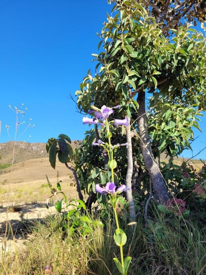 Chales Recanto Da Baleia Alto Paraíso de Goiás Kültér fotó